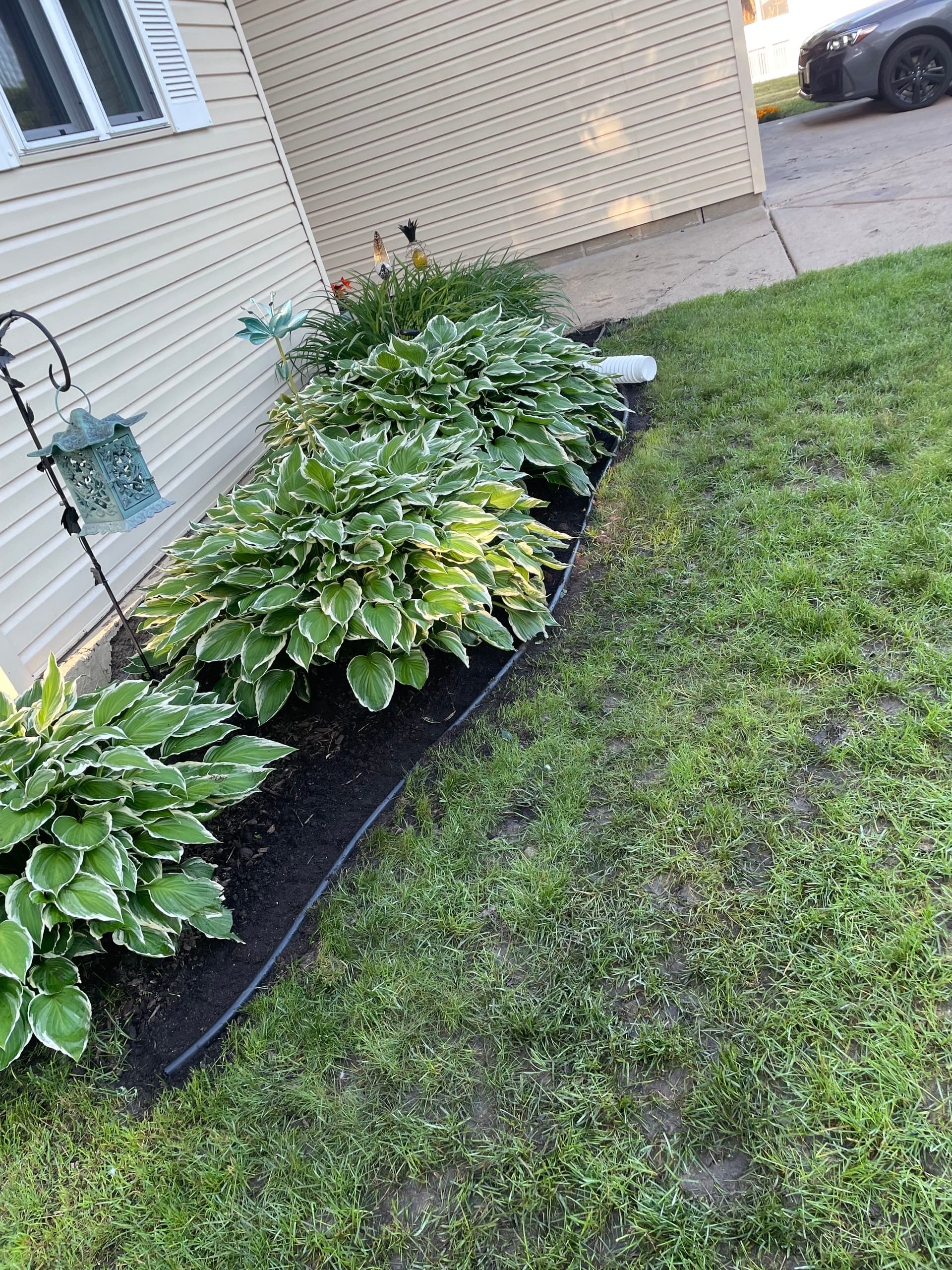 Garden Refresh in Savage Transforming Outdoor Spaces