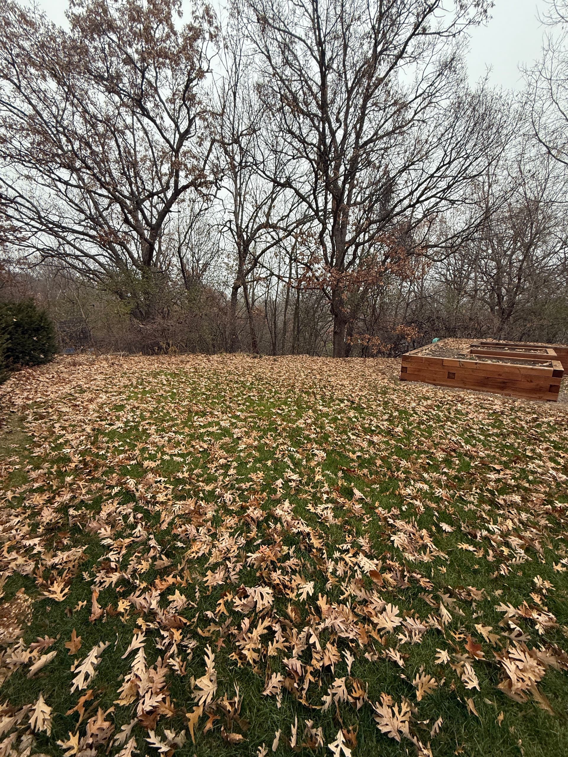 Effective Fall Cleanup in Egan