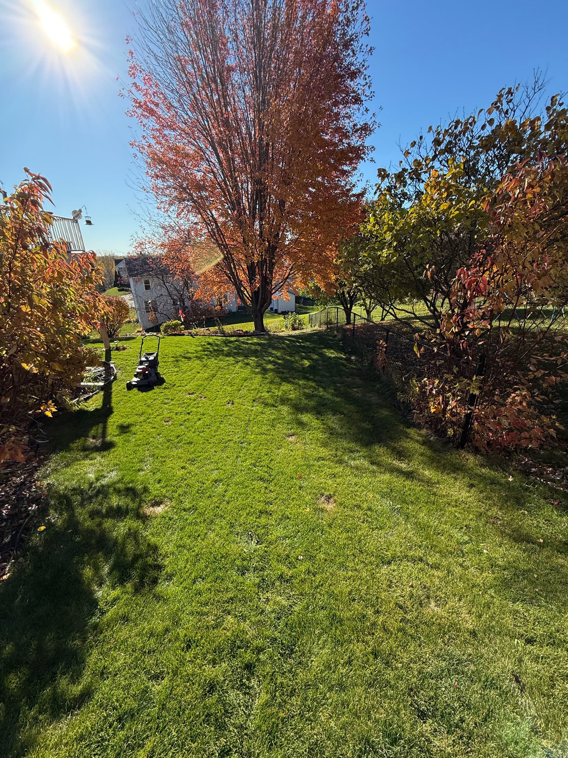 Gallery photos for Autumn Leaf Clean-Up in Savage MN: Image #3