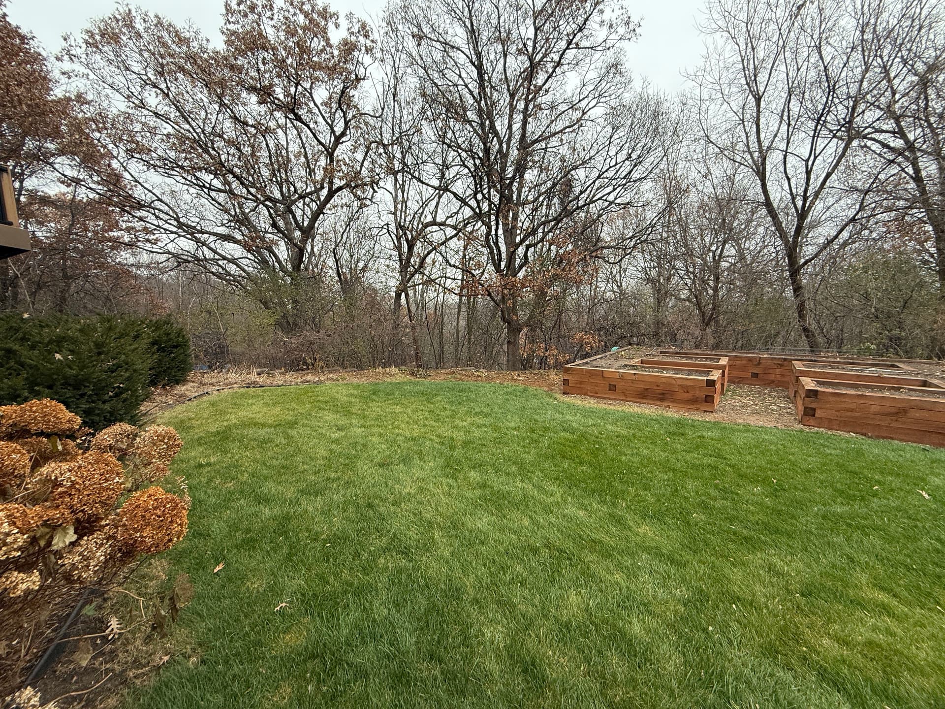 Effective Fall Cleanup in Egan