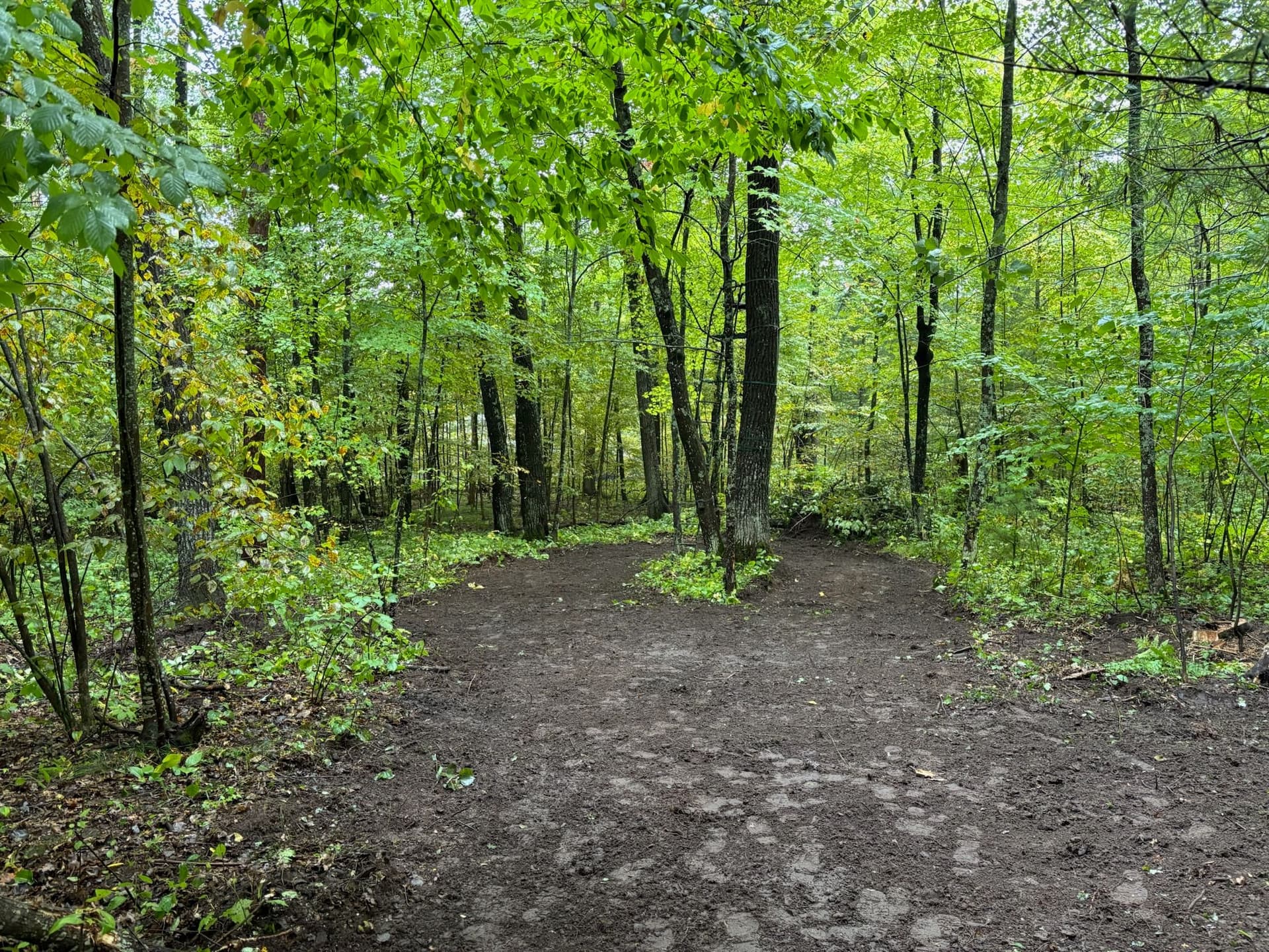 Clearing and Leveling the Landscape in Lakeville