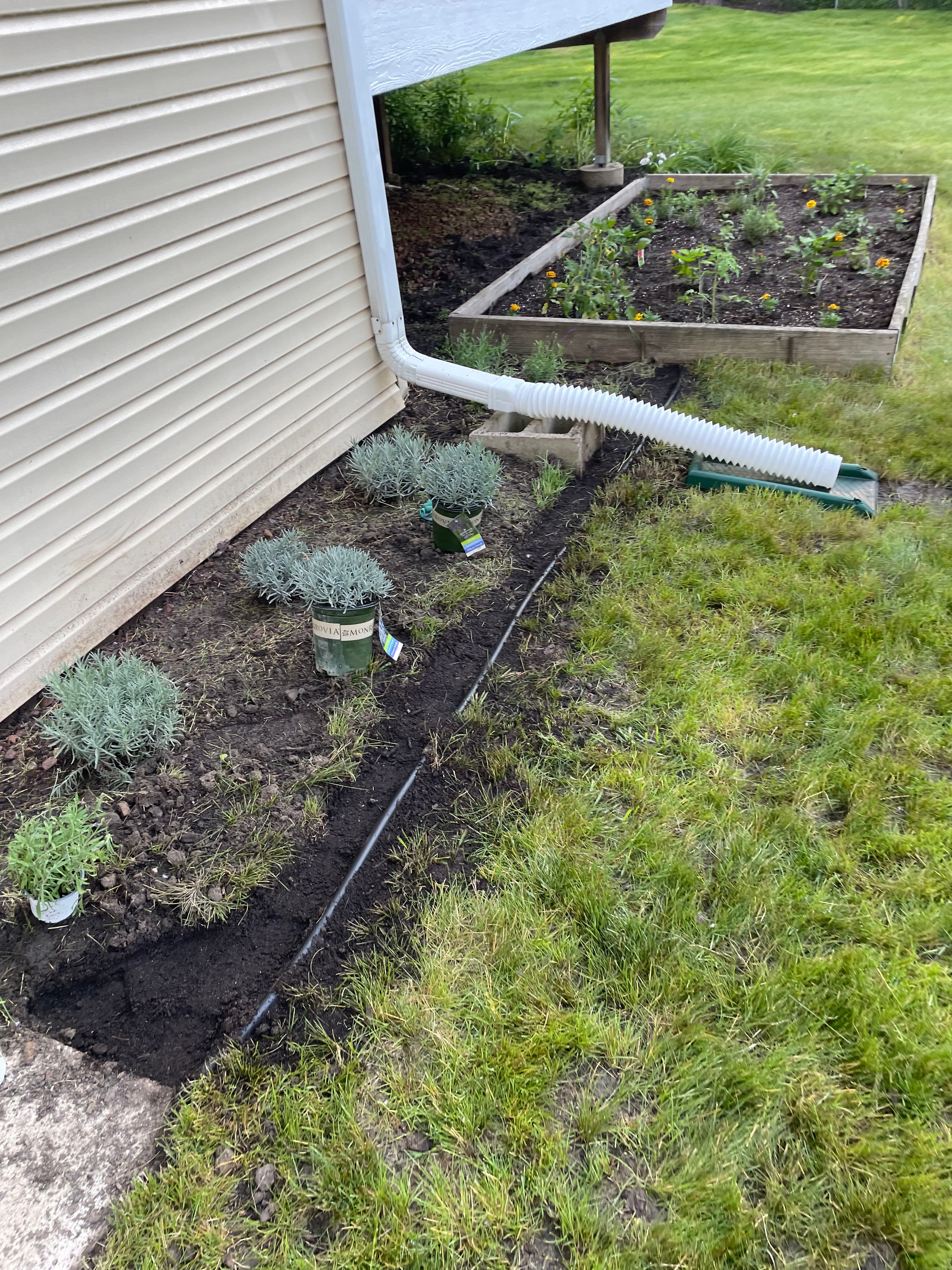 Project Garden Refresh in Savage Transforming Outdoor Spaces image