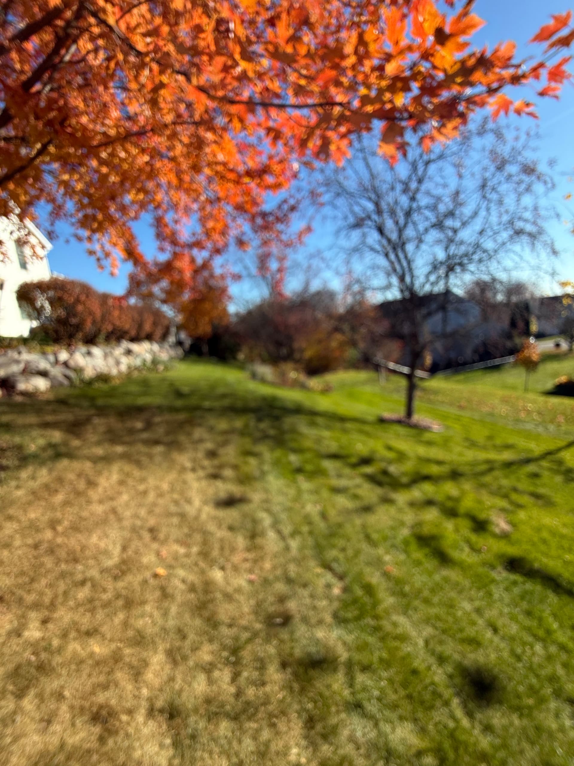 Gallery photos for Autumn Leaf Clean-Up in Savage MN: Image #5