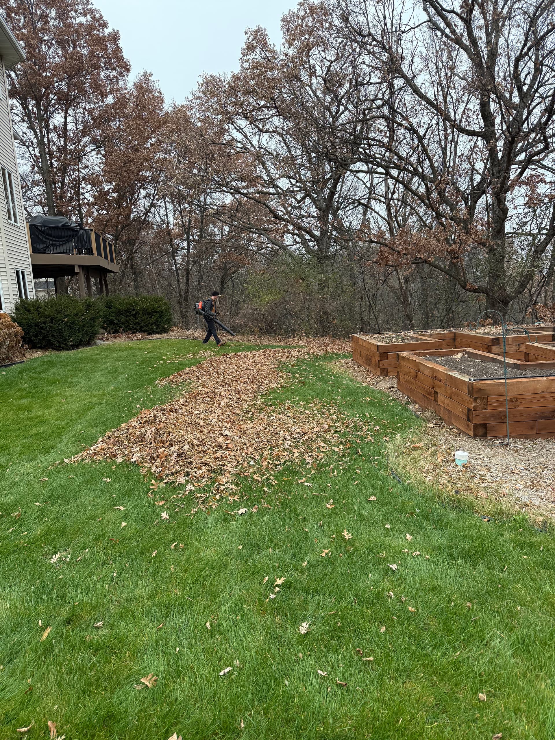 Effective Fall Cleanup in Egan