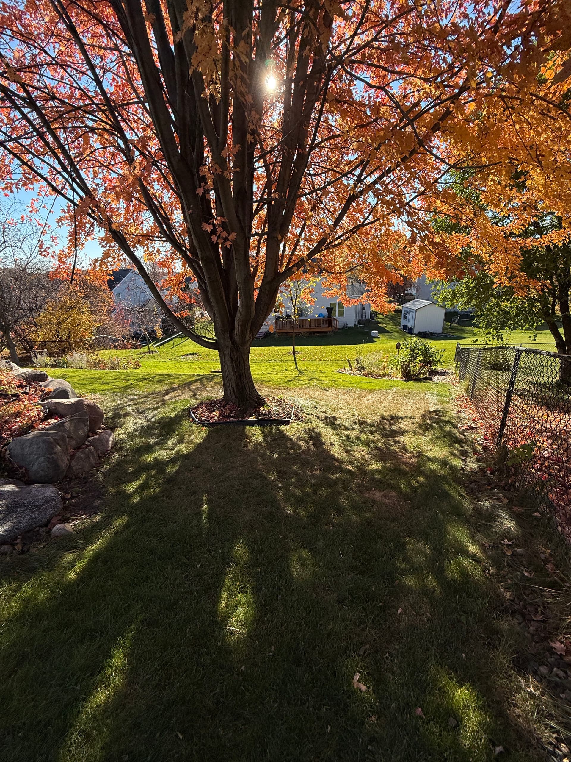 Gallery photos for Autumn Leaf Clean-Up in Savage MN: Image #4