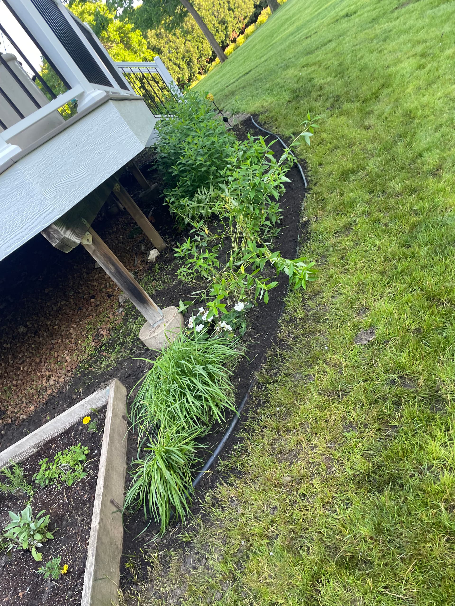 Garden Refresh in Savage Transforming Outdoor Spaces