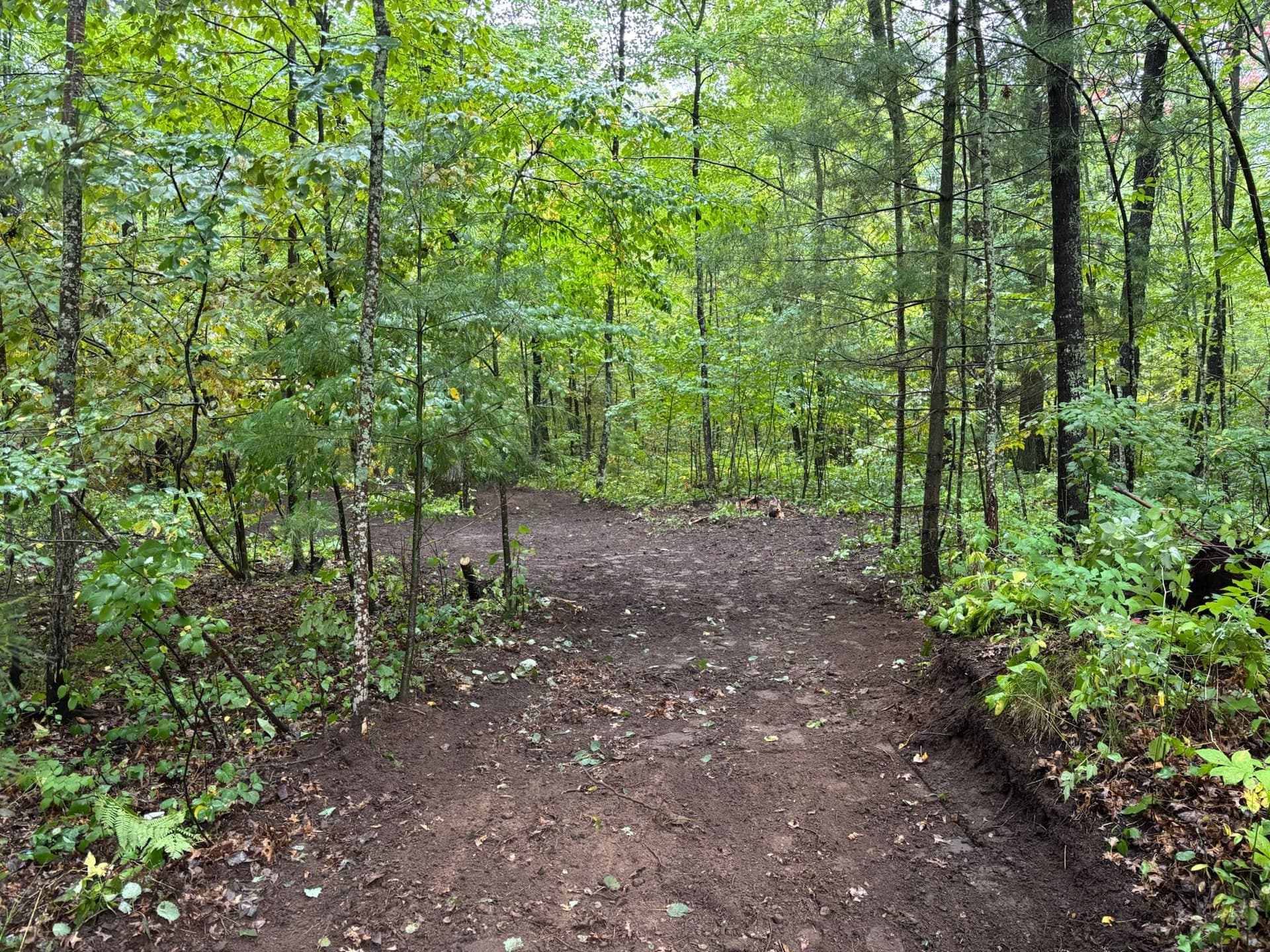 Clearing and Leveling the Landscape in Lakeville