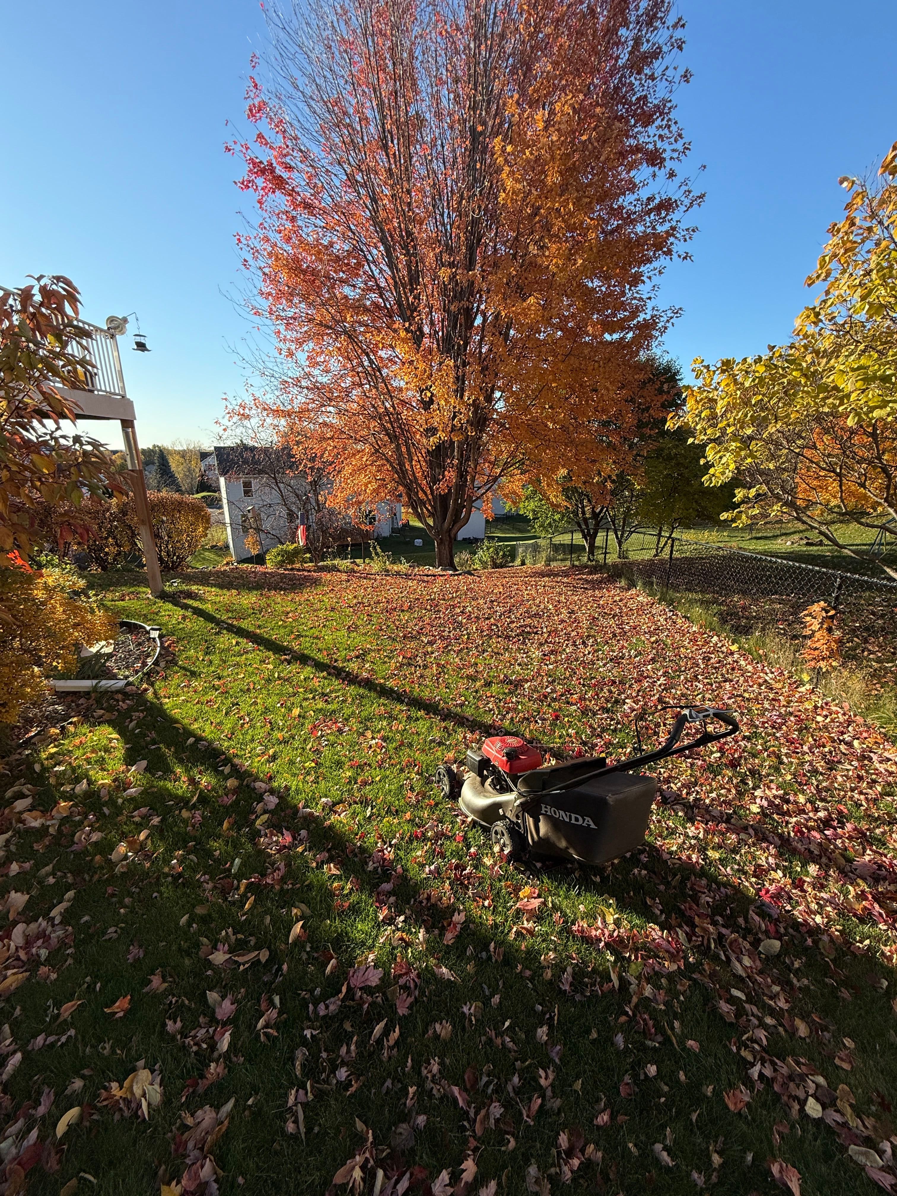 Project Autumn Leaf Clean-Up in Savage MN image