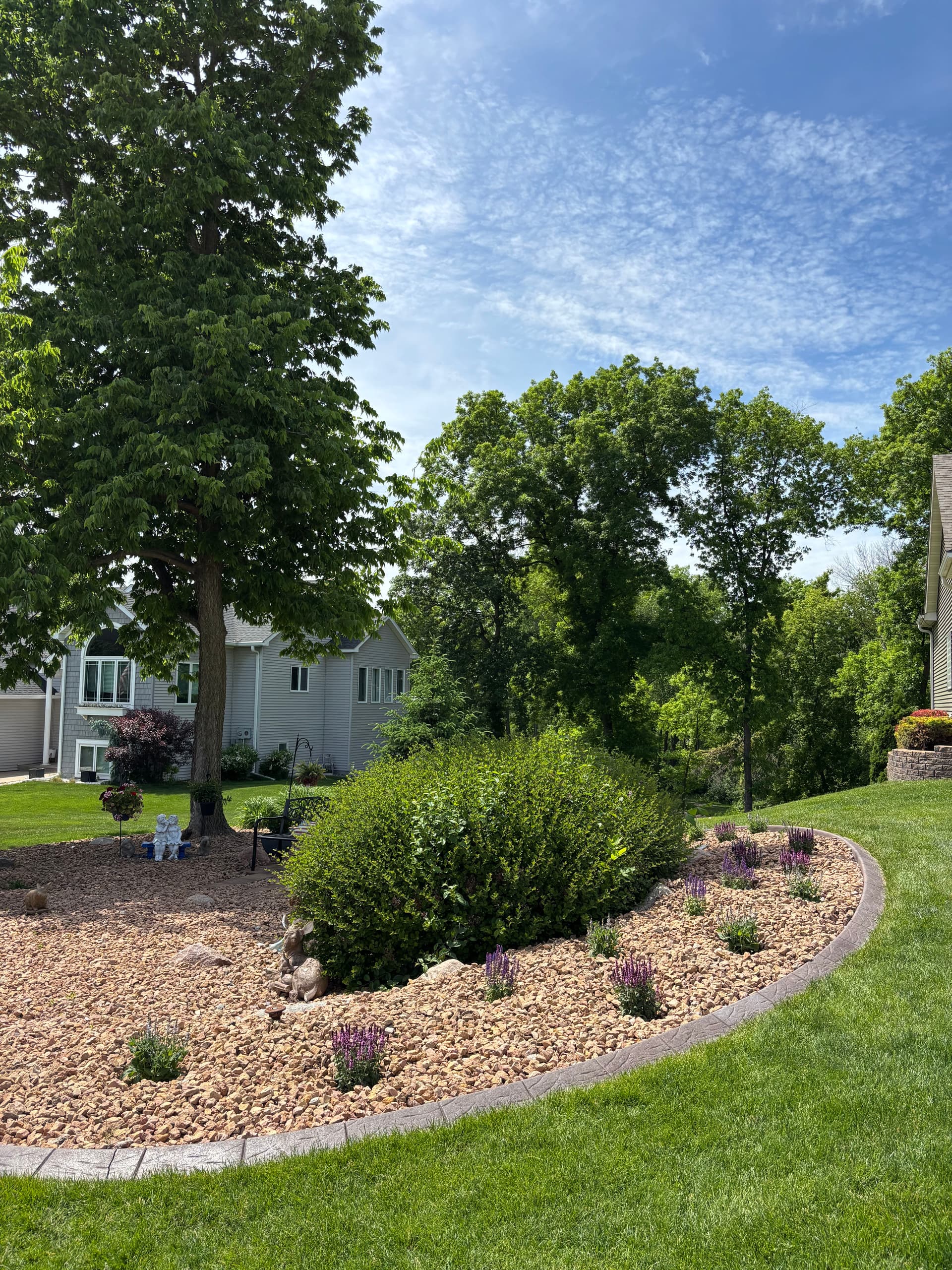 Fresh Plants and Color Brought This Front Yard Back to Life image